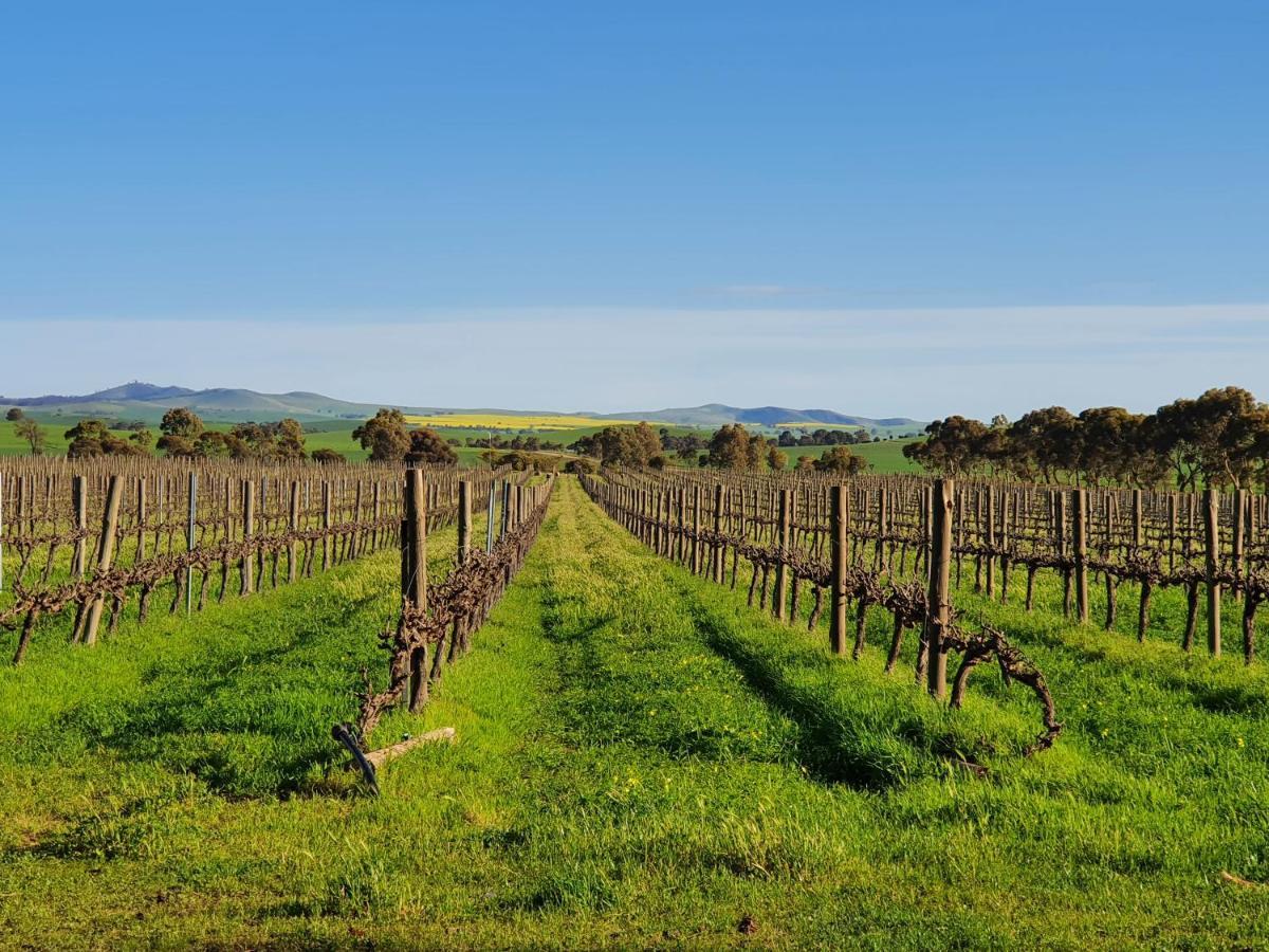 Belalie Wines Villa Jamestown ภายนอก รูปภาพ
